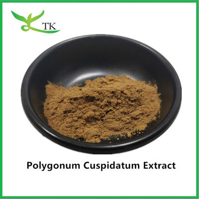 Zuiver natuurlijk plantenextract Giant Knotweed Polygonum Cuspidatum Extract 20% Resveratrol