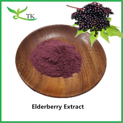 100% natuurlijk Elderberry Extract Poeder Zwarte Elderberry Extract Elderberry Poeder