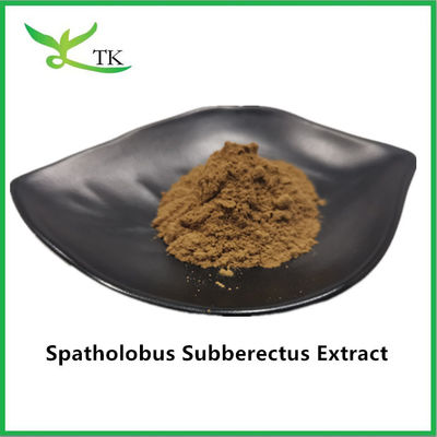 100% natuurlijk Caulis Spatholobi extract poeder Spatholobus Suberectus extract
