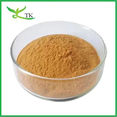 Voedingsmiddelenkwaliteit 100% natuurlijk Pygeum Africanum Bark Extract Prunus Africana Extract Poeder