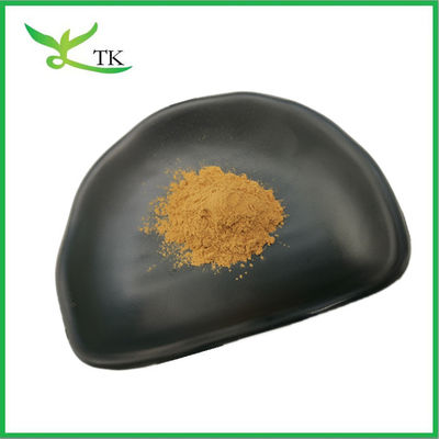 Voedingsmiddel van natuurlijke tarwe kiem extract poeder 10:1 20:1 in bulk