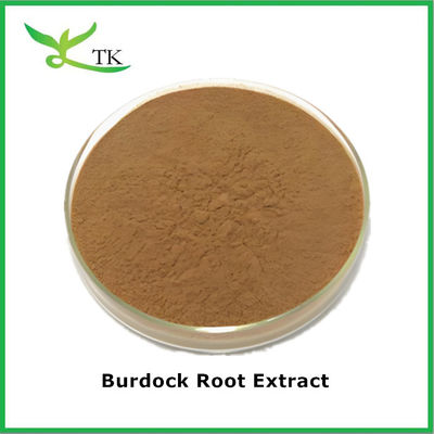 Kruidensupplement Arctium Lappa Extract Burdock Extract Poeder Wateroplosbaar