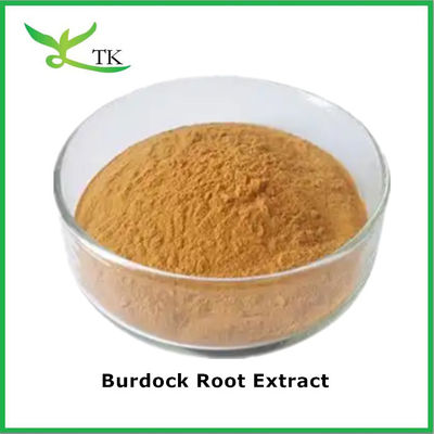 Natuurlijke botanische kruidenpoeder Arctium lappa wortel extract Burdock wortel poeder