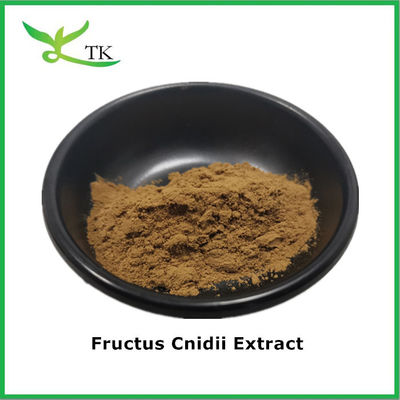 Pure natuurlijke kruidensupplement Supplement 10:1 20:1 Fructus Cnidii extract poeder