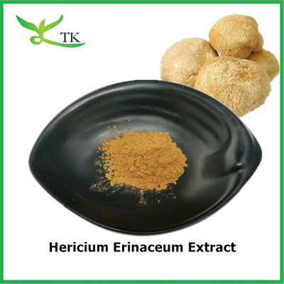 Voedingsmiddelenkwaliteit Zuiver natuurlijk Hericium Erinaceum Extract Hericium Erinaceum poeder
