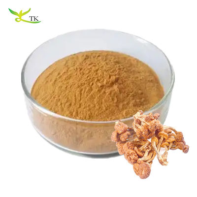 Voedingsmiddelenkwaliteit Pure Natural Pholiota Nameko Extract Polysaccharides Powder