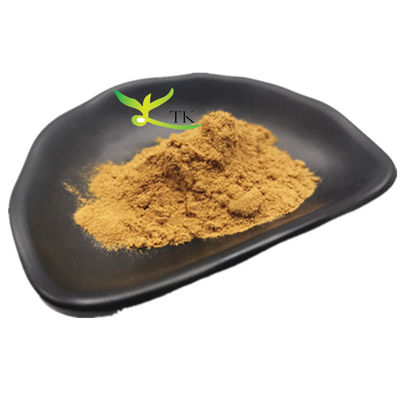 Groothandelsprijs Voedingsmiddelen Galangal extract Galangal wortel extract poeder