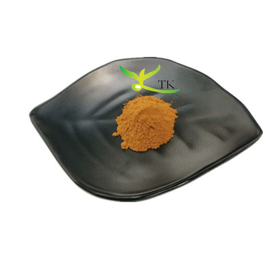 Natuurlijke kruidenextract Vitex Agnus Castus Extract Vitex Agnus Castus Poederprijs