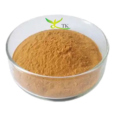 Groothandelsprijs 100% natuurlijk Verbascum Thapsus extract poeder 10:1