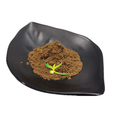 Natuurlijke Fucoidan poeder Bruin zeewier extract Fucoidan prijs