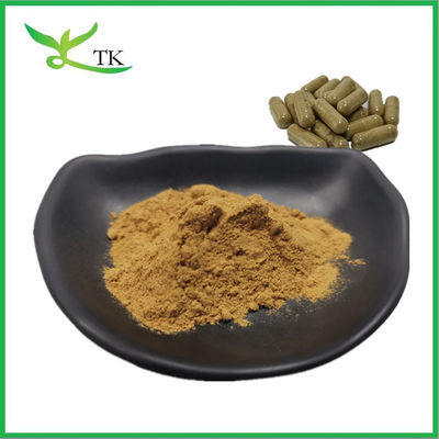 Beste prijs Natuurlijke bruine zeewier extract Kelp extract Fucoidan poeder