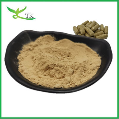 Groothandelsprijs Natuurlijke voedselsoort Bruin zeewier Extract Kelp Extract Poeder Bulk