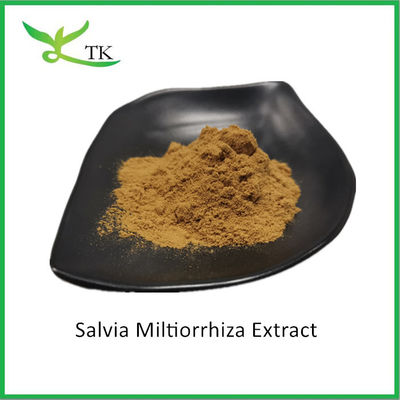 Natuurlijke kruiden Salvia Miltiorrhiza extract Salvia Miltiorrhiza wortel extract poeder