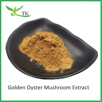 Natuurlijke paddenstoel supplement Pleurotus Citrinopileatus Golden Oyster Mushroom Extract Powder