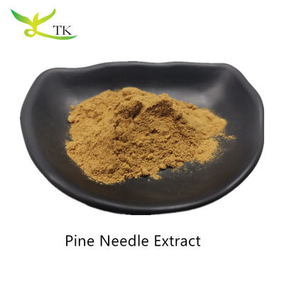 Groothandel Natuurlijke plantenextract poeder pijnboordnaald extract poeder voedselkwaliteit