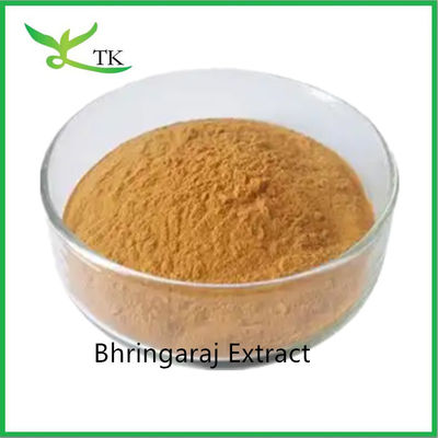 100% natuurlijke haarverzorging Bhringaraj blad extract Eclipta Alba extract poeder Koning van het haar