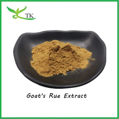 Natuurlijke geitenruge extract poeder 10:1 Galega Officinalis extract poederprijs
