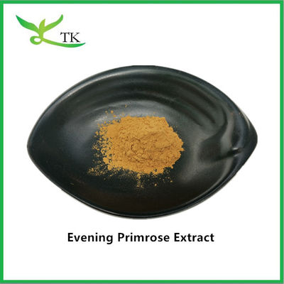 Natuurlijke kruidensupplement grondstof extract van primrose poeder in bulk