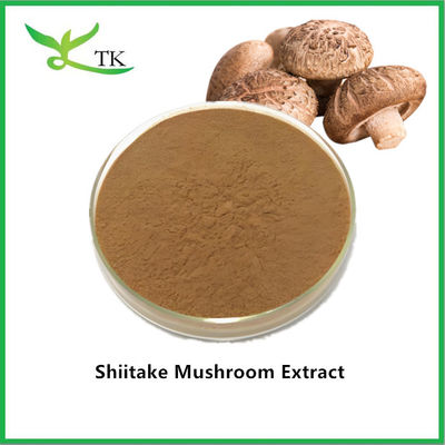 Groothandel Natuurlijke paddenstoel supplement extract poeder Shiitake paddenstoel extract prijs