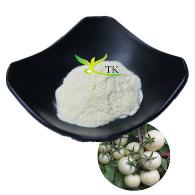 Hot Selling 100% Natuurlijk Solanum Lycopersicum Witte Tomatenpoeder 10:1 20:1