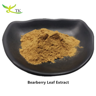 Natuurlijke plantenextract Beberberry Leaf Extract Arctostaphylos Uva Ursi Leaf Extract Poeder