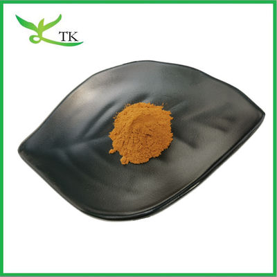 Natuurlijke plantenextract Prunella vulgaris Extract Zelfgenezend/Alle-genezend Extractpoeder voor kruidenthee