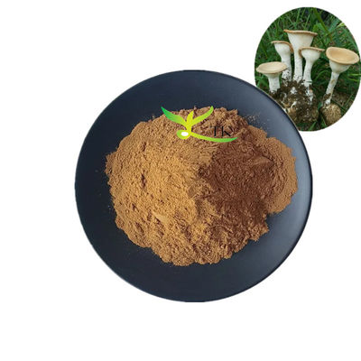Voedingsmiddelen Natuurlijke Lignosus Rhinocerus Tiger Milk Mushroom Extract Poeder 10% ~ 30% Polysacchariden