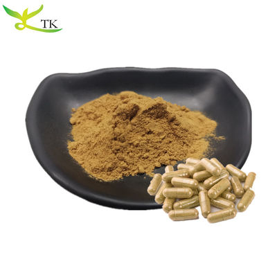 Natuurlijk TCM Jie Geng Extract Ballonbloemwortel Extract Platycodonwortel Extract