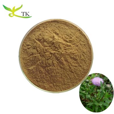 Natuurlijke plantenextract Herba Cephalanoploris Extract Poeder 4:1 10:1