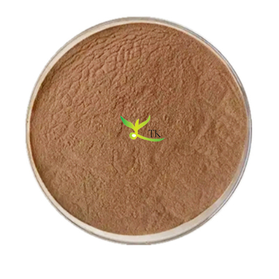 Natuurlijk Ginkgo Biloba Extract Bladextract Ginkgo Flavonoïden 24% Lactonen 6%
