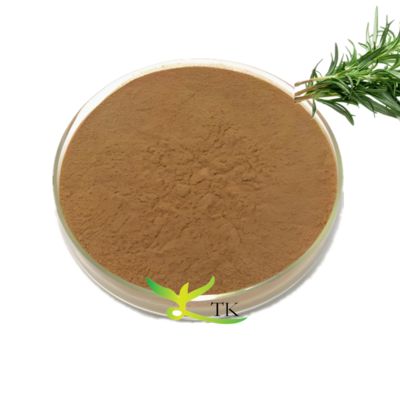 Natuurlijk Plantenextract 10% 50% Rozemarijnbladextract Poeder Ursolzuur Rozemarijnbladeren Extract