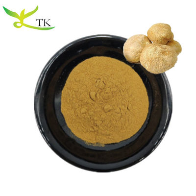 100% Natuurlijk Paddenstoelenextract Poeder Hericium Erinaceus Mycelium Extract in Bulk