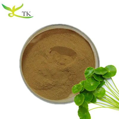 17 Jaar Fabriekslevering Gotu Kola Extract 10% Totaal Asiaticoside Poeder In Bulk