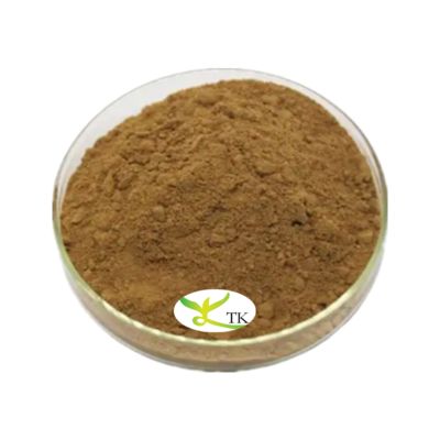 Natuurlijk Plantenextract Poeder Voedingskwaliteit Hysop Extract Poeder 4:1 10:1 Hyssopus Officinalis Extract