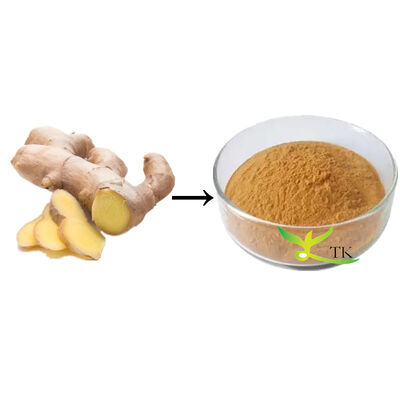 100% natuurlijk Ginger Extract Poeder Gingerwortel Extract 5% Gingerolen