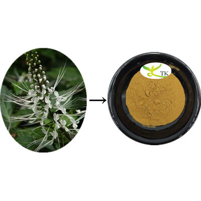 Natuurlijke Orthosiphon Aristatus Extract Orthosiphon Blaad Extract Poeder Reiniging Calculi