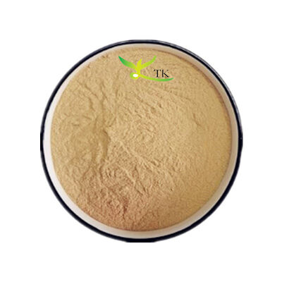 Groothandelsprijs Natuurlijke sneeuwlotus Extract Sneeuwlotus Kruidenextract Bulk