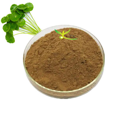 Groothandel Prijs Hoogwaardig Gotu Kola Extract 5% Asiaticoside In Bulk Centella Asiatica Extract