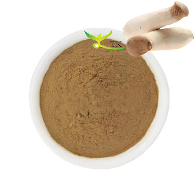 Natuurlijke Paddestoelsupplement Koning Trompet Paddestoel Extract Poeder Polysachariden 20%