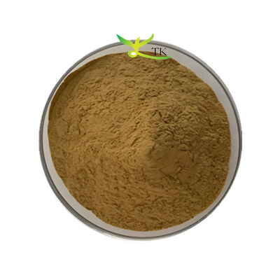 Fabriekslevering Bacopa Monnieri-extract 40% Bacopasides-poeder Brahmi-extractpoeder