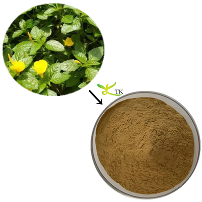 Topkwaliteit Damiana Extract Poeder 20:1 Damiana Poeder Extract Capsules