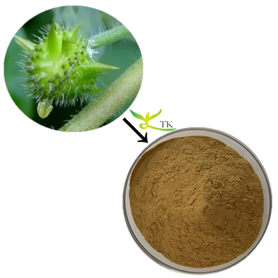Groothandel Prijs Hoge kwaliteit Tribulus Terrestris extract poeder Tribulus Terrestris capsules