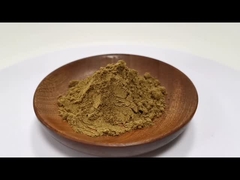 Groothandelsprijs Natuurlijke plantenextractpoeder 5% Flavonoïden Paardebloem-extractpoeder