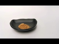 Kruidenextract poeder