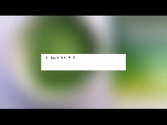 Groothandel Moringa Oleifera theepoeder Moringa blad poeder capsules poeder bulk