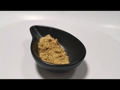 Natuurlijke plantenextractpoeder Champignon-extractpoeder