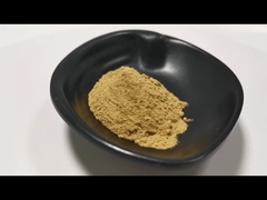 Het Uittreksel van citrusvruchtenaurantium