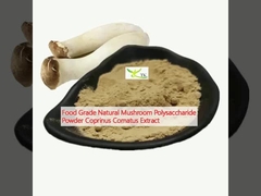 Voedingsmiddelenkwaliteit Natuurlijke champignon polysaccharide poeder Coprinus Comatus extract