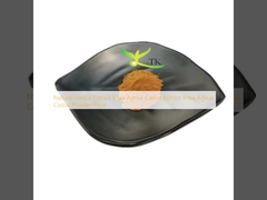 Natuurlijke kruidenextract Vitex Agnus Castus Extract Vitex Agnus Castus Poederprijs