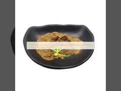 100% natuurlijke voedselkwaliteit Salsola Collina extract Salsola Collina poederprijs